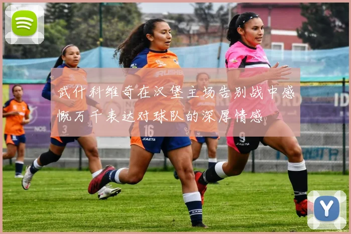 武什科维奇在汉堡主场告别战中感慨万千表达对球队的深厚情感